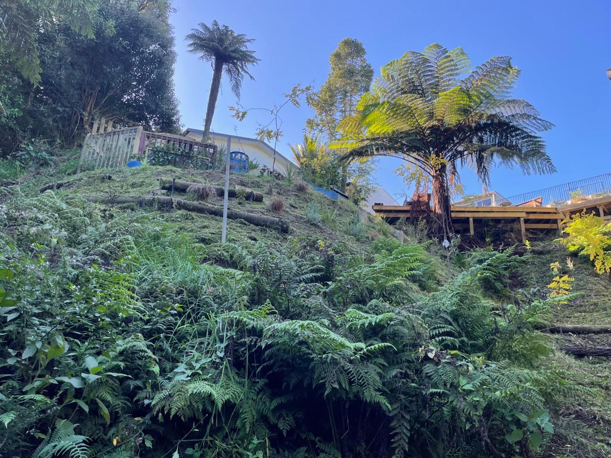 ホテル Gully Retreat ハミルトン エクステリア 写真