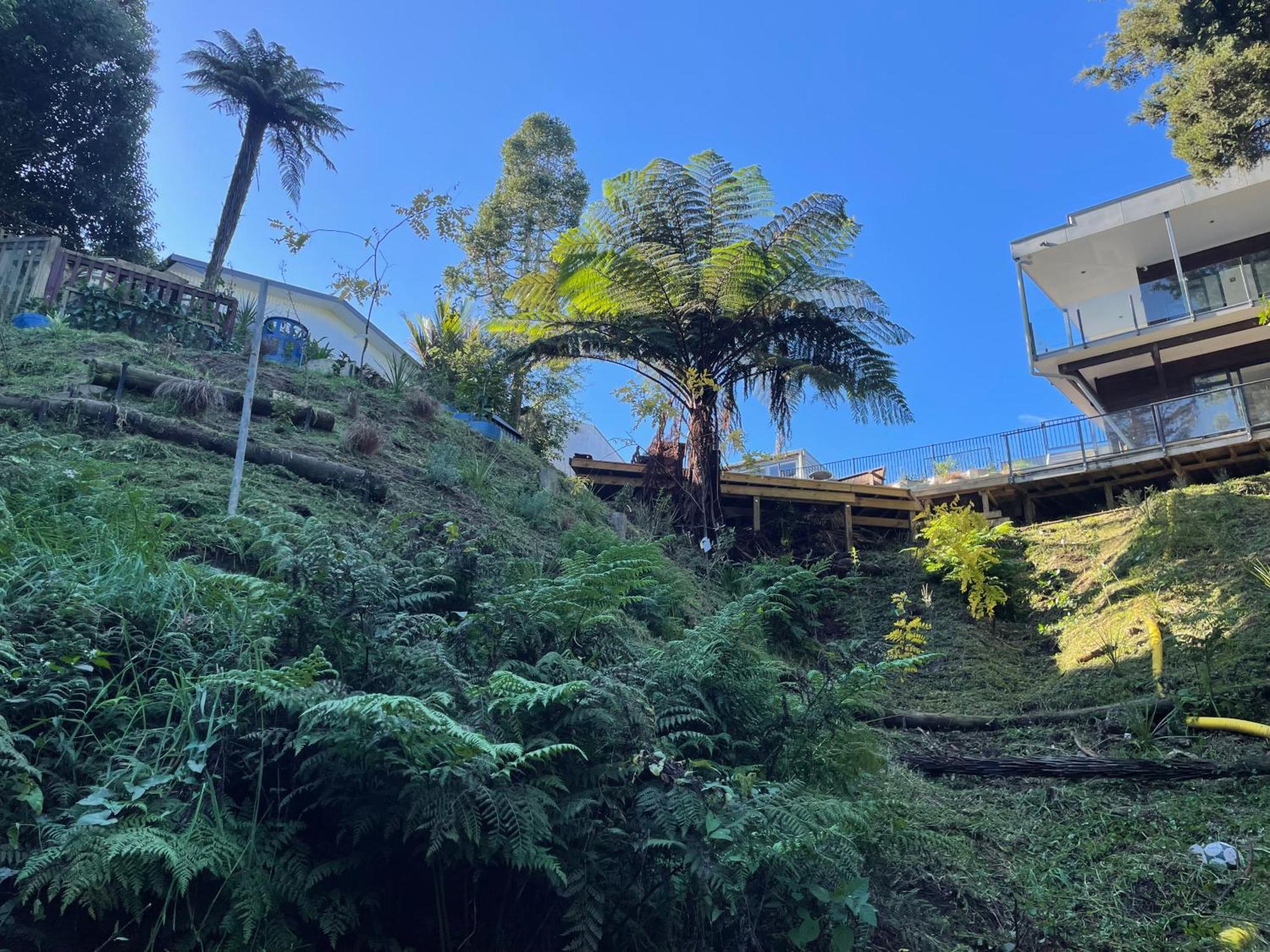 ホテル Gully Retreat ハミルトン エクステリア 写真